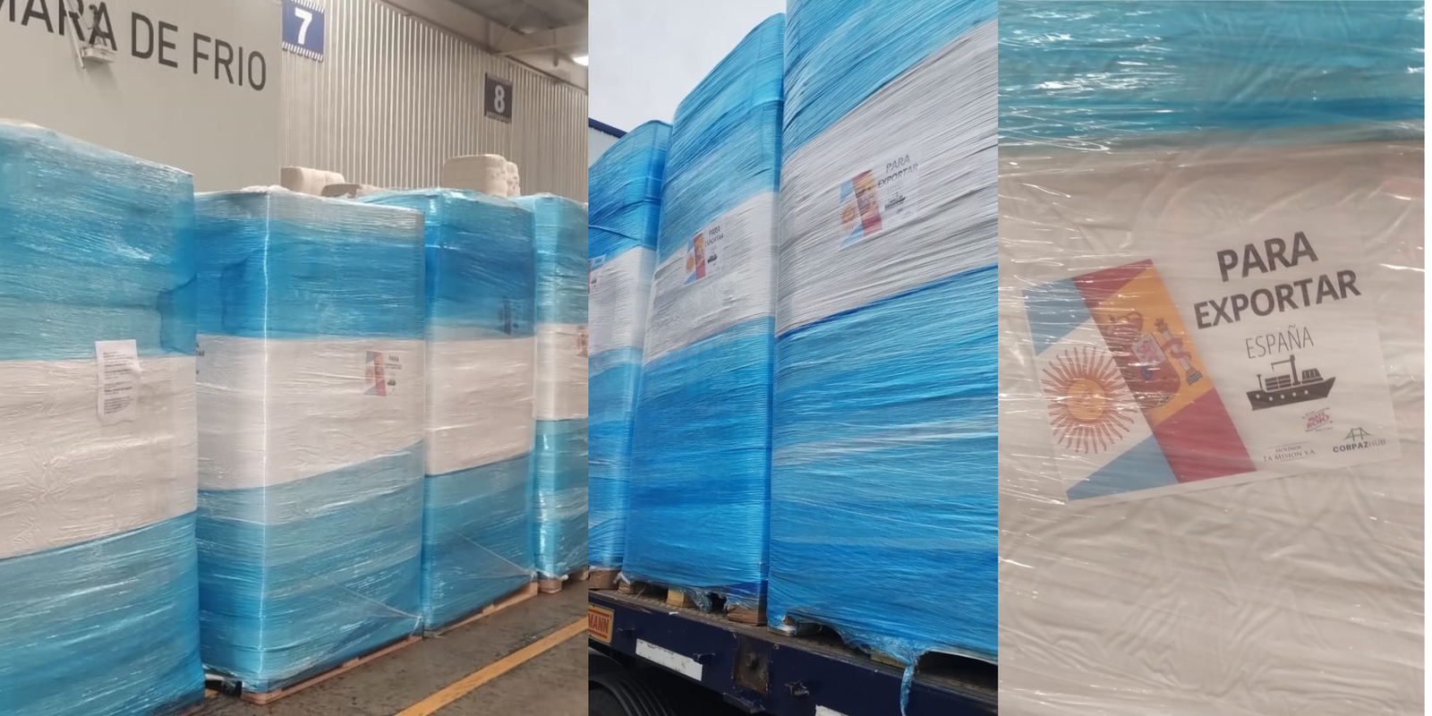 Pallets in warehouse — CORPAZHUB import and export logistics